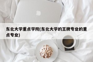 东北大学重点学院(东北大学的王牌专业的重点专业)