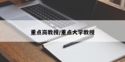 重点岗教授/重点大学教授