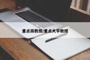 重点岗教授/重点大学教授